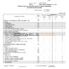 Azerbaijan Access Bank (English language) statement template in Word and PDF format