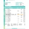 Azerbaijan Amrahbank bank statement easy to fill template in Excel and PDF format