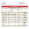 Bahamas Scotiabank bank statement template in Word and PDF format