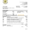 Bahamas The Central Bank of The Bahamas bank statement template in Word and PDF format, good for address prove
