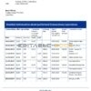 Costa Rica Banco Nacional bank statement easy to fill template in .xls and .pdf file format