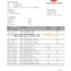 Bangladesh Rupali Bank statement template in Word and PDF format