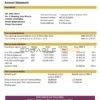 Brunei Bank Islam Brunei Darussalam bank statement easy to fill template in Excel and PDF format (AutoSum)