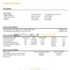 Ethiopia Bank of Abyssinia bank statement easy to fill template in .xls and .pdf file format