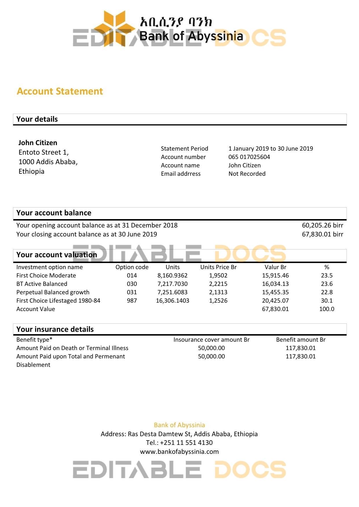 Ethiopia Bank of Abyssinia bank statement easy to fill template in .xls and .pdf file format