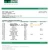Benin Bank of Africa bank statement template in Word and PDF format