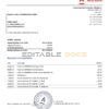 Belarus Alfa bank statement template in Word and PDF format