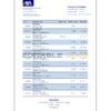 Belgium AXA bank statement easy to fill template in .xls and .pdf file format