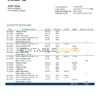 Belgium KBC bank statement template in Word and PDF format