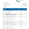 Belize Choice Bank statement template in Word and PDF format
