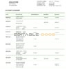 Belize bank statement template in Word and PDF format, fully editable