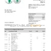 Benin African Development bank statement template in Word and PDF format