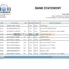 Bhutan Bank of Bhutan bank statement easy to fill template in Word and PDF format