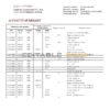Bhutan Druk PNB bank statement template in Word and PDF format