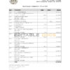 Bhutan National Bank statement easy to fill template in Excel and PDF format