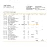 Bhutan T bank statement template in Word and PDF format