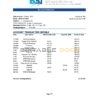 Bosnia and Herzegovina Bosna Bank International bank statement easy to fill template in Excel and PDF format (AutoSum)
