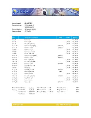 Bosnia and Herzegovina Central Bank statement easy to fill template in Excel and PDF format (AutoSum)