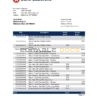 Botswana Bank Gaborone bank statement template in Excel and PDF format, fully editable