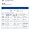 Botswana Bank ABC bank statement template in Word and PDF format