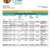 Botswana First National Bank statement template in Word and PDF format, good for address prove