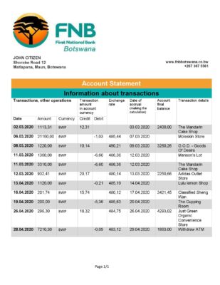 Botswana FNB of Botswana bank statement template in .xls and .pdf file format, fully editable