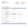 Brazil Banco Votorantim bank statement template in Word and PDF format
