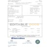 Brazil Banco do Brasil bank statement easy to fill template in Excel and PDF format