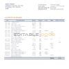 Brazil Itau bank statement template in Word and PDF format, fully editable