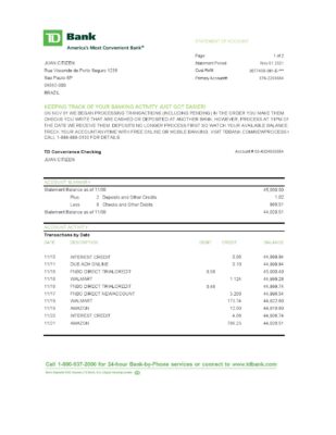 Brazil TD bank statement easy to fill template in Excel and PDF format