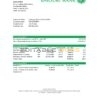 Brunei Baiduri bank statement easy to fill template in Excel and PDF format (AutoSum)