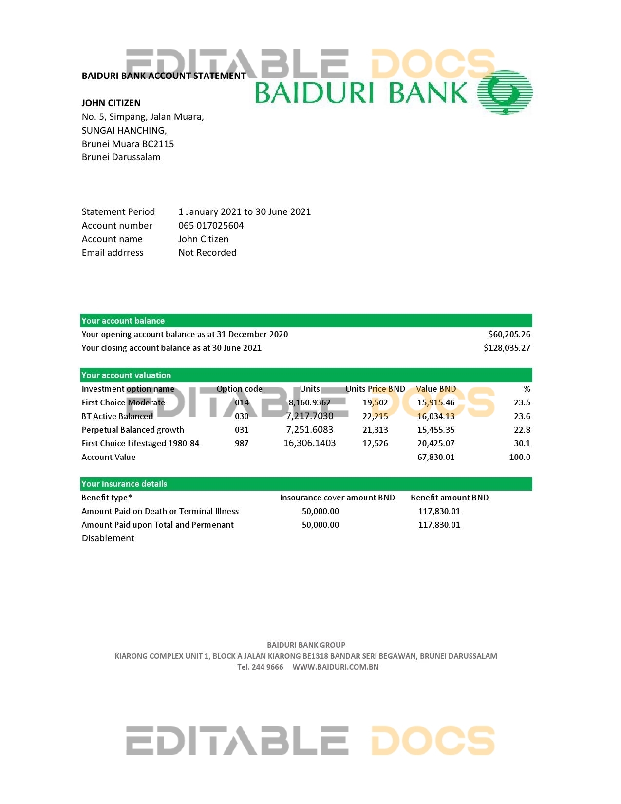 Brunei Baiduri bank statement easy to fill template in Excel and PDF format (AutoSum)