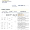 Cambodia Foreign Trade Bank of Cambodia bank statement easy to fill template in Excel and PDF format