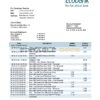 Cameroon Ecobank statement template in Word and PDF format