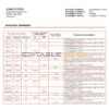 Cameroon SCB bank statement template in Word and PDF format