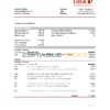 Cameroon UBA bank statement easy to fill template in Excel and PDF format