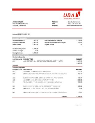 Cameroon UBA bank statement easy to fill template in Excel and PDF format