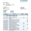 Central African Republic Ecobank proof of address template in Word and PDF format