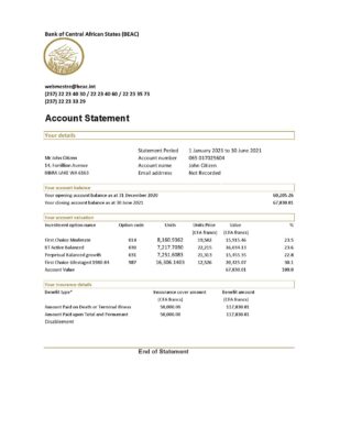 Central African Republic Bank of Central African States BEAC bank statement easy to fill template in .xls and .pdf file format (AutoSum)