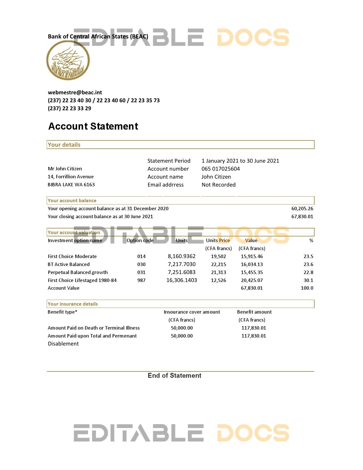 Central African Republic Bank of Central African States BEAC bank statement easy to fill template in .xls and .pdf file format (AutoSum)
