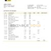 Chad Commercial Bank of Tchad bank statement template in Word and PDF format