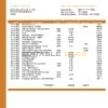 Chile Banco del Estado de Chile bank statement easy to fill template in .xls and .pdf file format