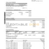 Chile Scotiabank bank statement easy to fill template in Excel and PDF format