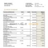China Development bank statement template in Word and PDF format