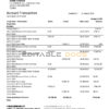 China Citic Bank Corp bank statement template in Word and PDF format