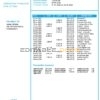 China Industrial and Commercial Bank of China bank statement template in Word and PDF format