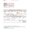 Latvia Citadele bank statement template, Word and PDF format (.doc and .pdf)