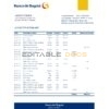 Colombia Banco de Bogotá bank statement easy to fill template in Excel and PDF format