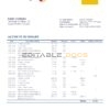Colombia Banco de Bogotá bank statement template in Word and PDF format