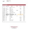 Congo Afriland First bank statement Word and PDF (.doc and .pdf) template